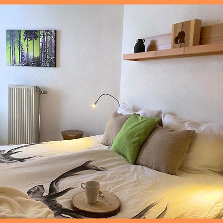 Baechle Im Wanderparadies Balkon Mit Blick Auf Den Bach Sauna Im Haus Tiefgarage E-Ladestation Todtnauberg Exterior foto