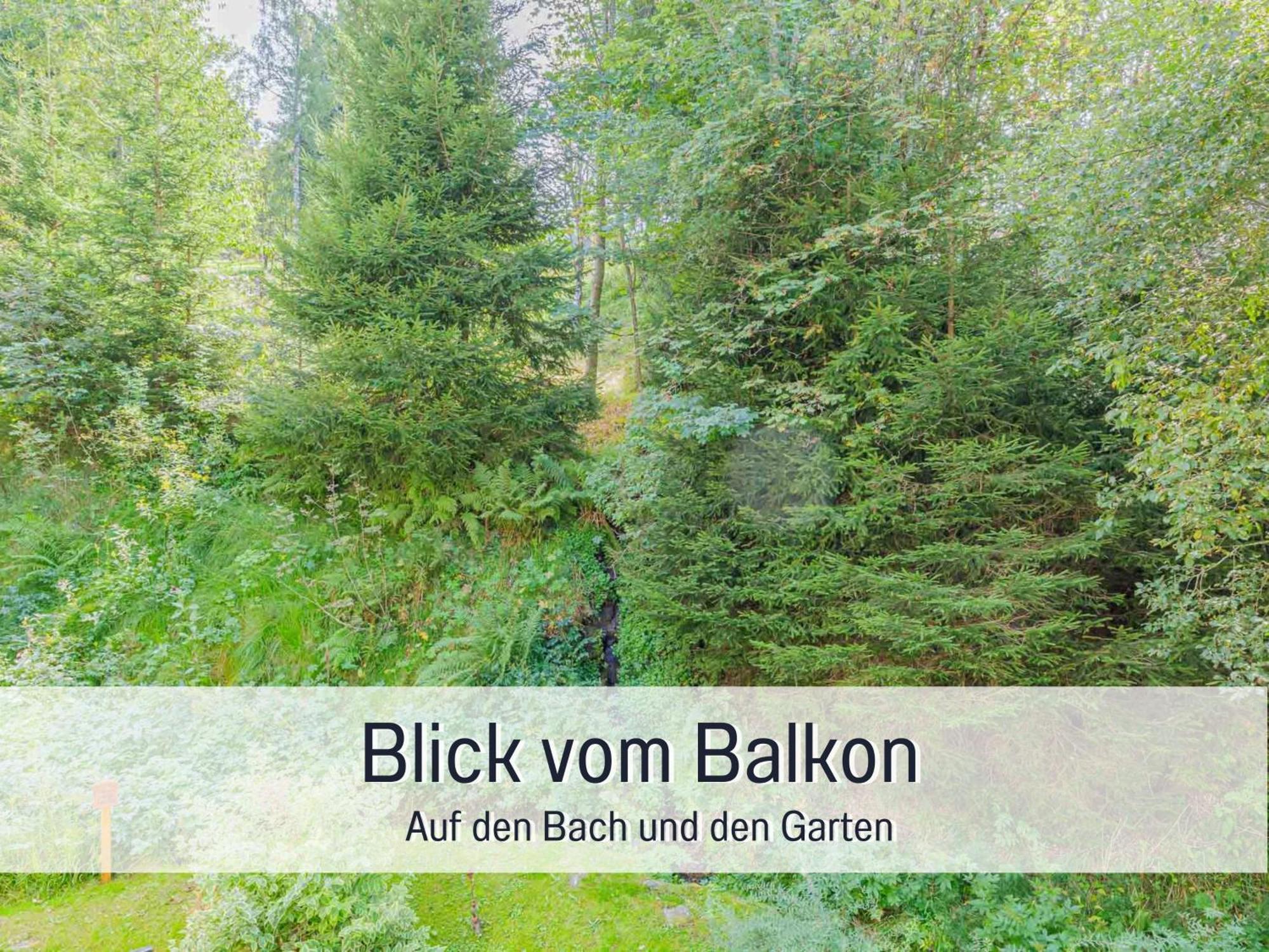 Baechle Im Wanderparadies Balkon Mit Blick Auf Den Bach Sauna Im Haus Tiefgarage E-Ladestation Todtnauberg Exterior foto